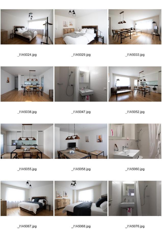 巴塞尔Nest - Riehenring 147公寓 外观 照片